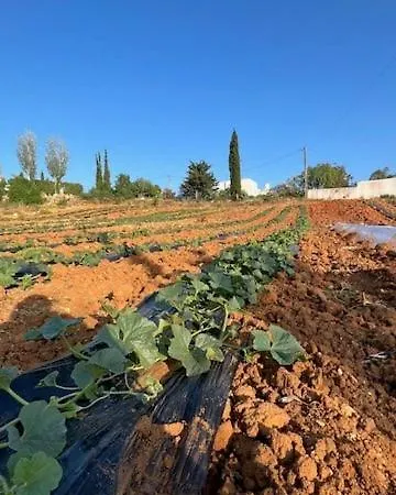 Casa Luz Holiday home