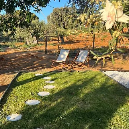 Casa Luz Tatil Evi Guia (Faro)