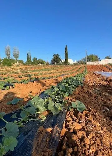 Casa Luz Prázdninový dům